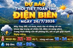 Bản tin Dự báo thời tiết ngày 26/7/2026