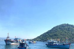 Gia Lai tăng cường quản lý tàu cá không đủ điều kiện hoạt động