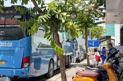 Doanh nghiệp vận tải mong xử lý nghiêm các vi phạm