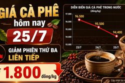 Giá cà phê hôm nay 25/7: Giảm phiên thứ ba liên tiếp, mất tới 1.800 đồng/kg