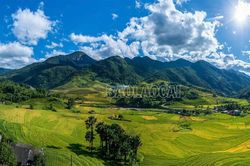 Sẵn sàng cho giải đua xe đạp địa hình Mường Bo - Vút bay trên sóng lúa vàng
