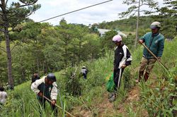 Lạc Dương khẩn trương xử lý vi phạm lấn chiếm đất lâm nghiệp