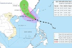 Dự báo bão số 02 trên Biển Đông ngày 25/07/2026: Bão tăng cấp và hướng về Quảng Đông