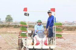 Đẩy mạnh chuyển đổi số trong lĩnh vực nông nghiệp và môi trường