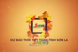 Dự báo thời tiết toàn tỉnh Sơn La ngày 26/7/2026