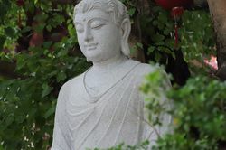 Thơ Trần Quê Hương: Ưu đàm nở hoa