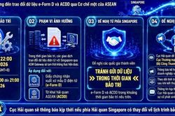 Ngày 25/7, hỏa tốc tạm dừng trao đổi e-Form D với Singapore do bảo trì hệ thống