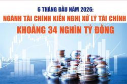 Infographics: Qua kiểm tra, ngành Tài chính kiến nghị xử lý tài chính khoảng 34 nghìn tỷ đồng