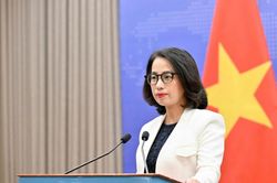 Việt Nam tuân thủ nghiêm túc các quy định của ILO, các điều ước quốc tế về lao động