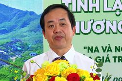 Na và nông sản Lạng Sơn – Lan tỏa giá trị, thương hiệu vươn xa