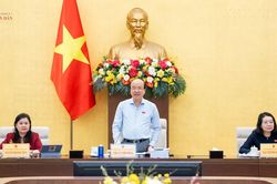 Thường trực Ủy ban Pháp luật và Tư pháp thẩm tra sơ bộ dự án Luật Phát triển đô thị