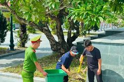 Quyết liệt đấu tranh với vấn nạn thanh thiếu niên vi phạm pháp luật