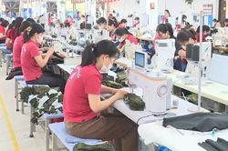 Phạt tới 70 triệu đồng khi mua bán dữ liệu về người lao động