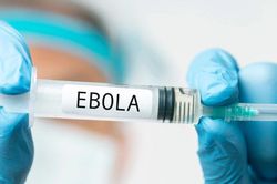 Anh: Thử nghiệm lâm sàng vắc-xin Ebola đầu tiên trên người