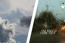 Các hình thái thời tiết ảnh hưởng bão số 2