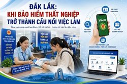 Đắk Lắk: Khi bảo hiểm thất nghiệp trở thành cầu nối việc làm