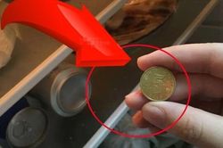 Tại sao nhiều gia đình thích đặt một đồng xu trong tủ lạnh?