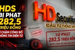 Chứng khoán HD bị phạt 282,5 triệu đồng vì chậm công bố thông tin điện tử