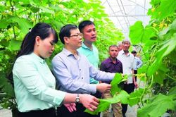 Rời phố về quê làm nông nghiệp - Một hành trình lập nghiệp mới