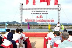 Quảng Trị: Tổ chức thả giống tái tạo nguồn lợi thủy sản năm 2026