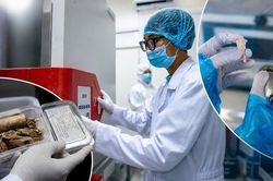 Bên trong căn phòng giải mã ADN tìm danh tính liệt sĩ