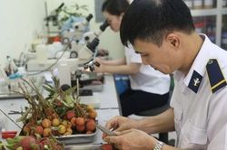 Trường hợp nào phải kiểm tra nhà nước đối với thực phẩm nhập khẩu