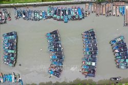 Hơn 715.000 người sơ tán khi bão Noul đổ bộ Trung Quốc