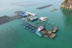 Phát triển kinh tế biển trở thành động lực chiến lược