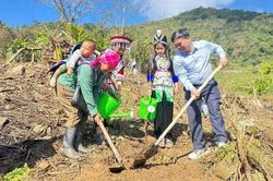 Mở rộng điểm tựa an sinh cho nông dân