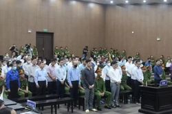 Hai cựu lãnh đạo tỉnh Vĩnh Phúc (cũ) hoàn thành nghĩa vụ thi hành án dân sự