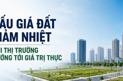 Đấu giá đất giảm nhiệt khi thị trường hướng tới giá trị thực