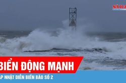 Bão số 2 gây biển động mạnh, sóng biển cao 2-4m