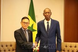 Senegal mong muốn trở thành cửa ngõ để Việt Nam tiếp cận thị trường Tây Phi