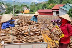 Việt Nam tham dự phiên rà soát chính sách thương mại của Ấn Độ