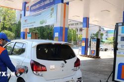 Petrolimex lý giải việc khách hàng bị hạn chế lượng mua đối với dầu diesel