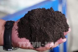 Tiêu dùng xanh: Xu thế thay đổi mô hình sản xuất