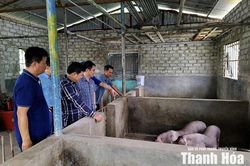 Phát triển và cải tạo giống vật nuôi