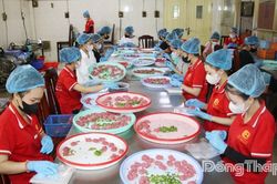Xã Lấp Vò: Hỗ trợ các sản phẩm có tiềm năng tham gia OCOP