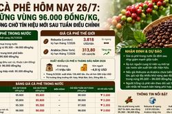 Giá cà phê hôm nay 26/7: Giữ vững vùng 96.000 đồng/kg, thị trường chờ tín hiệu mới sau tuần điều chỉnh