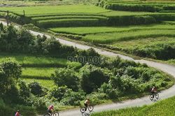 Hấp dẫn Giải đua xe đạp địa hình 'Vút bay trên sóng lúa vàng' Mường Bo