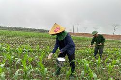Bảo vệ và nâng cao 'sức khỏe' của đất