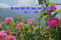 Dự báo thời tiết toàn tỉnh Sơn La ngày 27/07/2026
