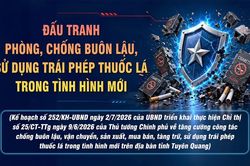 Đấu tranh phòng, chống buôn lậu, sử dụng trái phép thuốc lá trong tình hình mới