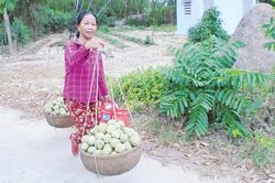 Triêng gióng giữa đời thường