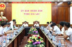 Gia Lai bảo đảm an ninh năng lượng, tạo dư địa cho tăng trưởng sau sáp nhập