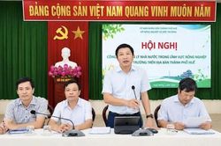Quản lý lâm nghiệp số và phát triển hệ sinh thái carbon: Kiến tạo bệ phóng tăng trưởng xanh ở TP.Huế