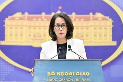Việt Nam l&ecirc;n tiếng về việc Mỹ &aacute;p thuế mới 12,5%