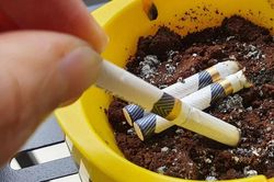 Đề xuất xuất tr&igrave;nh VNeID, Căn cước khi mua thuốc l&aacute;