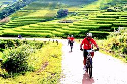 Thơ mộng đường đua giữa mây ngàn và sóng lúa vàng Mường Bo