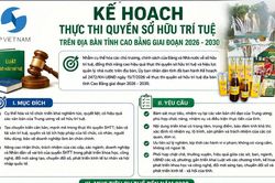 Kế hoạch thực thi quyền sở hữu trí tuệ trên địa bàn tỉnh giai đoạn 2026 - 2030